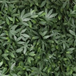 Tenax Künstliche Hecke Divy 3D X-Tens Acer Palmatum 1 M X 2 M Grün -Outdoor Schirm Verkauf 8002929125996 11018400 3