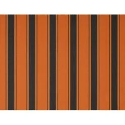 Wismar Kassettenmarkise Anthrazit Mit E-Motor 450 X 150 Cm Stoff Orange-Braun -Outdoor Schirm Verkauf 915205 2354 2