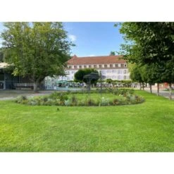 Eleo Pavillon Milano Pulverbeschichtet Schwarz -Outdoor Schirm Verkauf 945286 4915 3